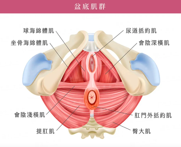 2abbc5d270ecf309c18b794a79706169.png image.png